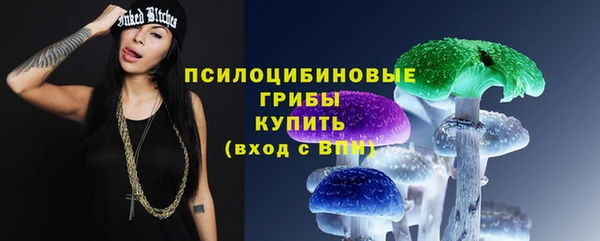 прущий лед Алексин