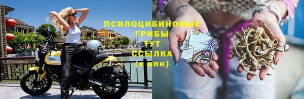 трава Алзамай